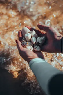 a person holding a handful of shells in their hand by NEOM courtesy of Unsplash.